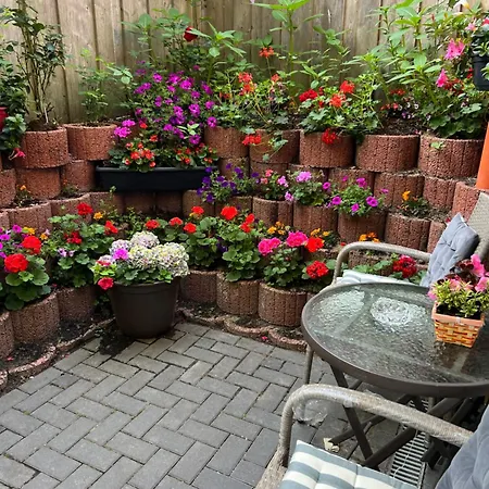 Lejlighed Ferienwohnung Bispingen Bispingen